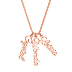 Load image into Gallery viewer, Personalized Vertical Name Necklace
